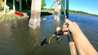 Fishing UNDER a Saltwater Bridge.. (Catch and Cook)