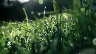 Calm & relaxing piano music||soothing your heart || beautiful & peaceful