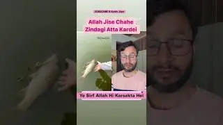 Ye Sirf Allah Hi Kar Sakta Hei #islam #viral #subhanallah