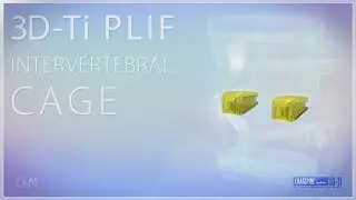 PLIF INTERVERTEBRAL CAGES