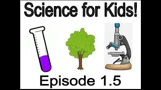 Episode: 1.5 A.M and F.M. for kids