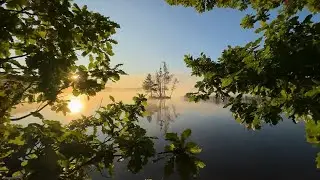 Chopin - Nocturne in E Flat Major (Op. 9 No. 2) - Russeau