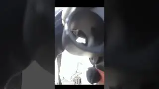 Swat Cop gets shot in chest face police shootout Los Angles California