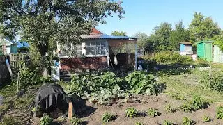 ДАЧА 2024//ОБШИЛИ ВЕРАНДУ/ /ИСПРАВЛЯЕМ ПОРОГ//ЗАЛИВАЕМ ДОРОЖКУ //