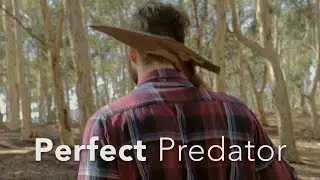 Perfect Predator || Spoken Word || Chris Barnard