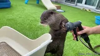 Best videos Of The Internet 2021 NEW NEW NEW