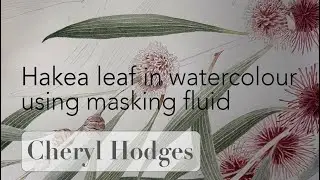 Paint a Hakea leaf in watercolour using masking fluid