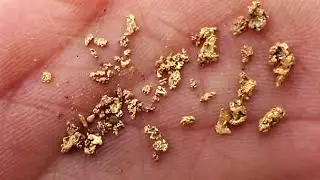 BlowTubing COARSE GOLD