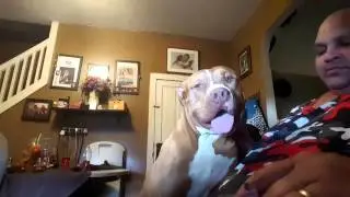 biggums S's live broadcast