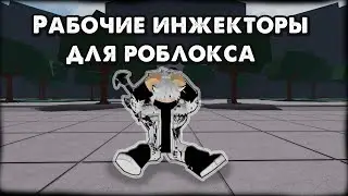 Рабочие инжекторы для роблокса в 2024 году.