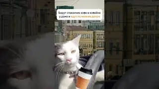 Чем занимаются наши клиенты, пока исполнители наводят чистоту в доме? | Сервис уборки Домовёнок