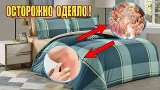 Осторожно одеяло! Одеяло и подушки могут вызвать проблемы со здоровьем!
