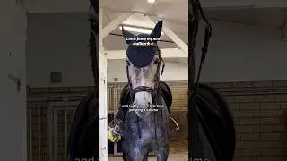 Come jump my new stallion 💕🥹 