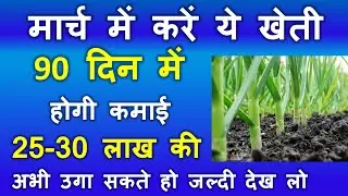 मार्च में करें ये खेती 90 दिन में होगी कमाई 25-30 लाख की | March Vegetables Farming | March ki kheti