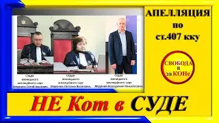 НЕ Кот в СУДЕ. Апелляция по ст. 407 ККУ