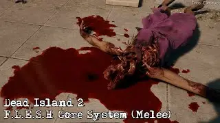 Dead Island 2 - F.L.E.S.H. Gore System (Melee)