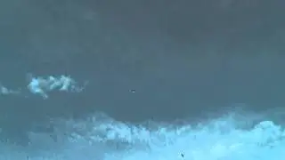 Голуби Геническа.