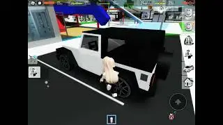 What I do in a life Roblox Brookhaven