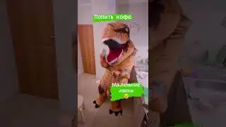 День из жизни ноукодозавра