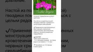 Успокоит сердцебиение и уберёт давление...