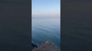 #crimea