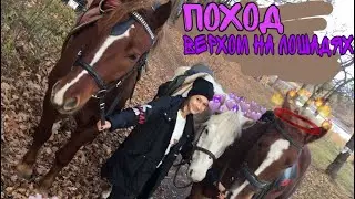 Поход//верхом на лошадях//🐎🐴🔥✔️