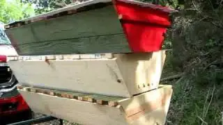 Building your Top Bar Hive - Learning Beekeeping