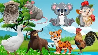 WILD ANIMALS | Learn Wild Animals Sounds and Names For Children, Kids And Toddlers