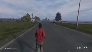 DayZ but it has Skyrim Music