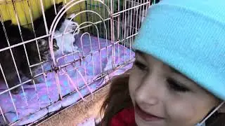 В нашей семье пополнение