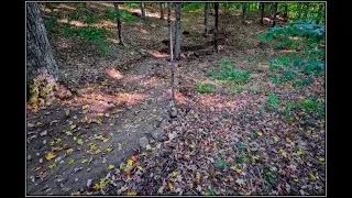 Benching New Trail