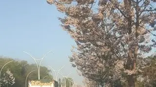 Mirzohid Qahhorov efirda! hayrli tong Andijon