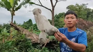 lần đầu đi bẫy chim gi bằng keo sẽ như thế nào