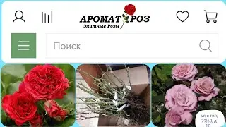 👀ГЛАЗ НЕ ОТВЕСТИ🤩Обзор посылки  с розами из питомника 