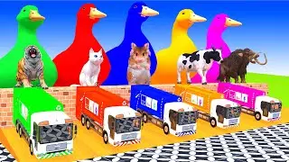 5 Giant Duck Cartoon, Long Slide Game With Cow Elephant Lion Gorilla T-Rex, 3d Animal Game