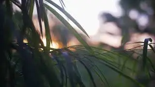 piano relaxing music for stress relief