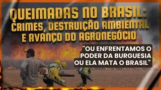 Queimadas no Brasil: crimes, destruição ambiental e avanço do agronegócio