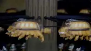 Pogo & Pixar