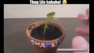 Thug Life