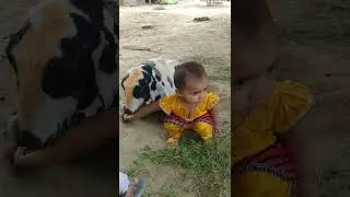 Baby Love with Goat