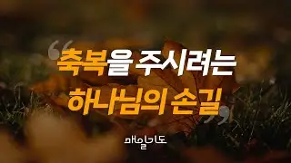 [매일기도] 11월 8일 금요일 | 축복을 주시려는 하나님의 손길