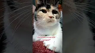 Детка😂 