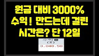 원금대비 3000% 수익! 만드는데 걸린 시간은? 단 12일.. 씨드의 중요성? 씨드보다 실력이 우선이다.
