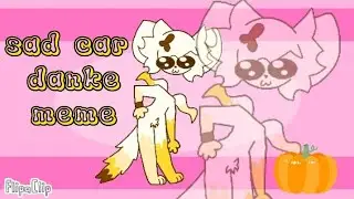 sad cat danke meme)// cat to sun☀️} с наступающим хэллоуином🎃