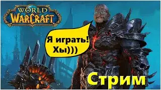 World of Warcraft | Sirus-x1 | Качаю паладина Рестрим на Twitch VK Play  #exizor #wow #sirus