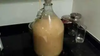Самогон из ананасов.