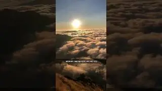 Позволь себе удовольствие