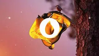 Ch!mes - Cherish