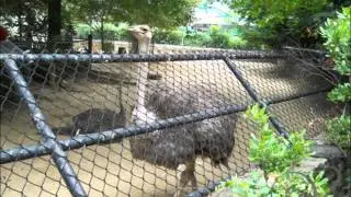 Some snaps we took in our trip Philadelphia Zoo Part 01