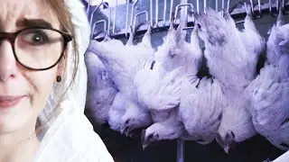 Der Tag, an dem ich vegan wurde.